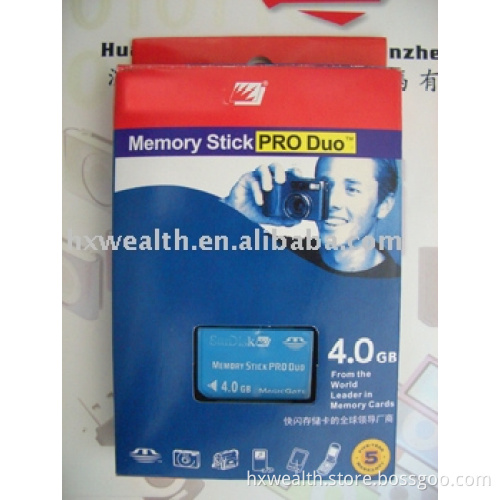 OEM Brand memory stick